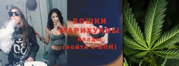 индика Орехово-Зуево
