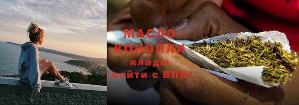 индика Орехово-Зуево