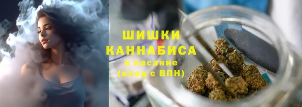 индика Орехово-Зуево