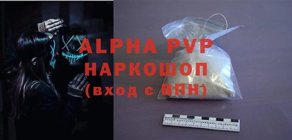 шишки Медвежьегорск