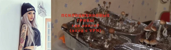 прущая мука Долгопрудный
