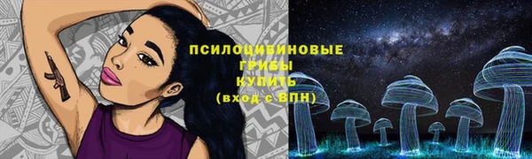 спиды Новый Уренгой
