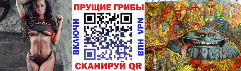 цена наркотик Дрезна Псилоцибиновые грибы прущие грибы